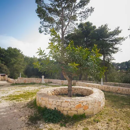 Trulli Magda Martina Franca