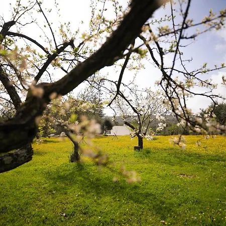 Trulli Magda בית נופש *