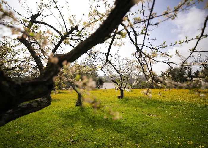 Trulli Magda בית נופש *